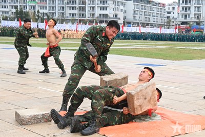 View - 	LLVT tỉnh Quảng Ninh: Ấn tượng màn biểu diễn võ thuật tại Lễ ra quân